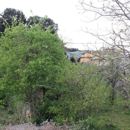 Cal General Daire La Cellera de Ter Dış mekan fotoğraf